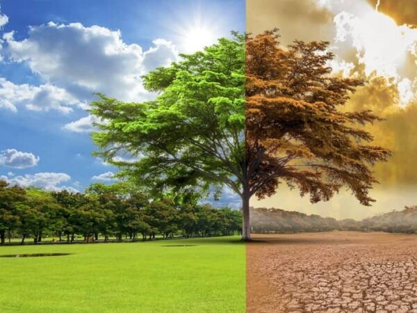 Cambio climático y nuestro papel como docentes