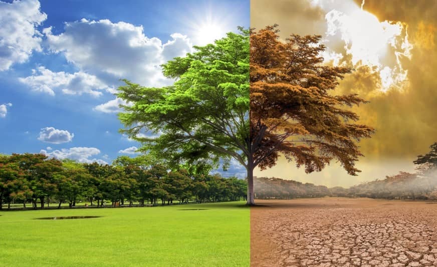 Cambio climático y nuestro papel como docentes