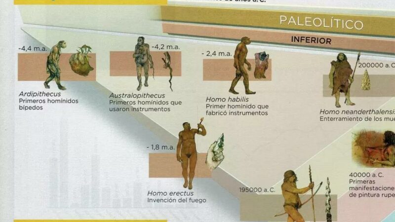 El racismo que se enseña en las aulas españolas