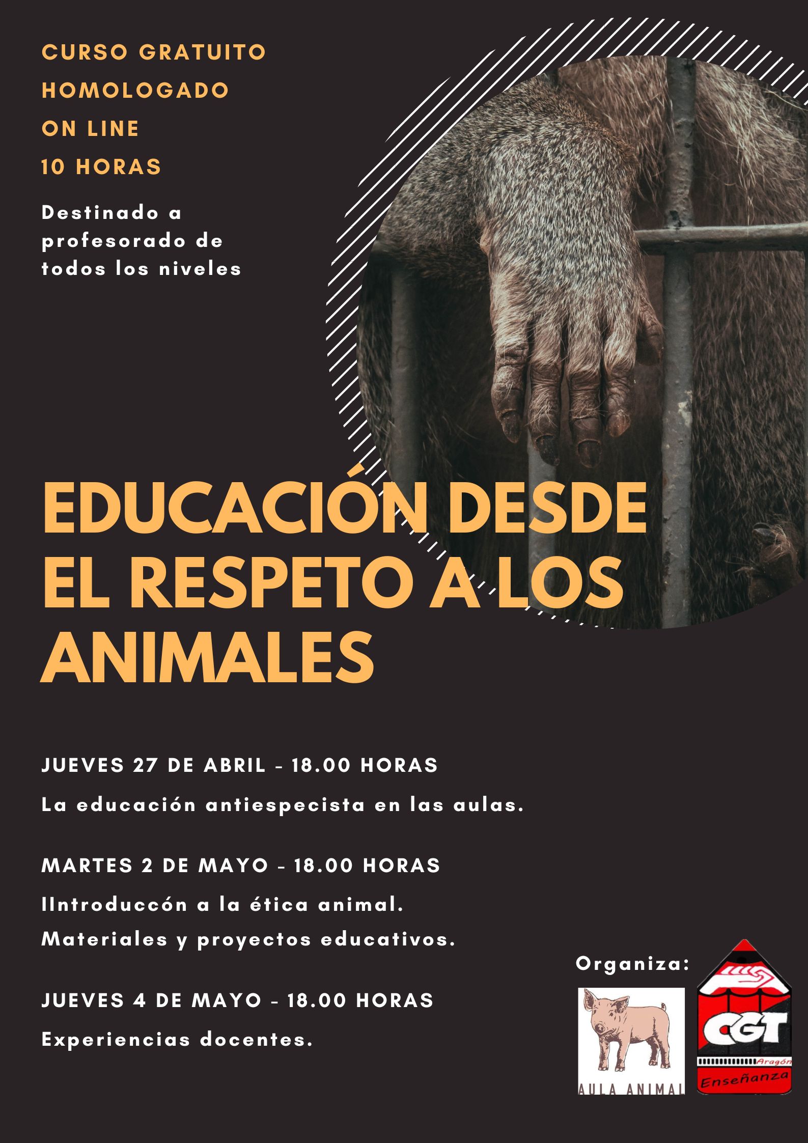Apertura matrícula en el curso «Educación desde el respeto a los animales»