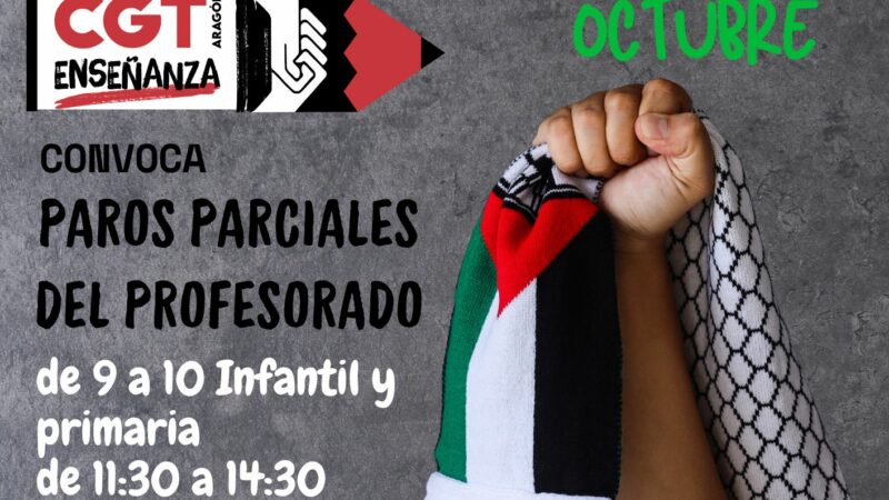 CGT Enseñanza Aragón convoca paros contra el genocidio en Palestina