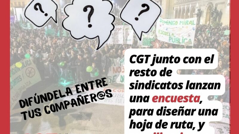 ENCUESTA AL PROFESORADO DE ARAGÓN
