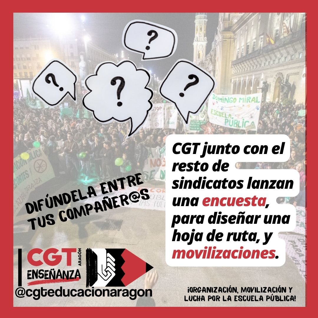 ENCUESTA AL PROFESORADO DE ARAGÓN
