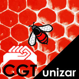 CGT unizar apoya a la Plataforma por la Dignidad en la Investigación