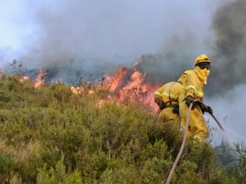 CGT en SARGA seguimos apostando por la profesionalización de lxs bomberxs forestales y por un operativo público y de calidad