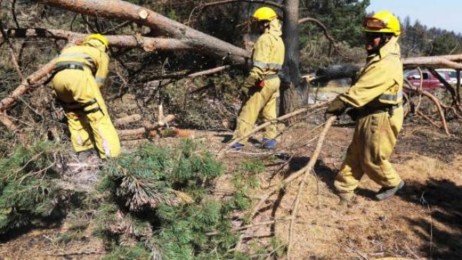 Los sindicatos denuncian la salida del Gerente dejando a SARGA en el caos