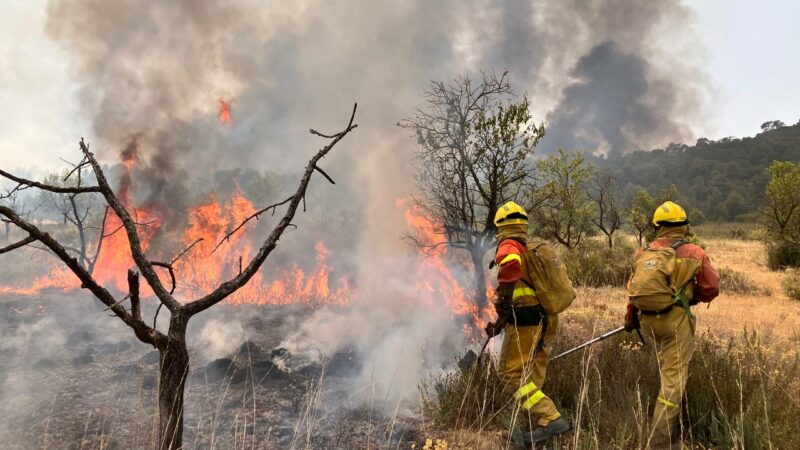 Aragón amenazado por las llamas y por los recortes en el operativo