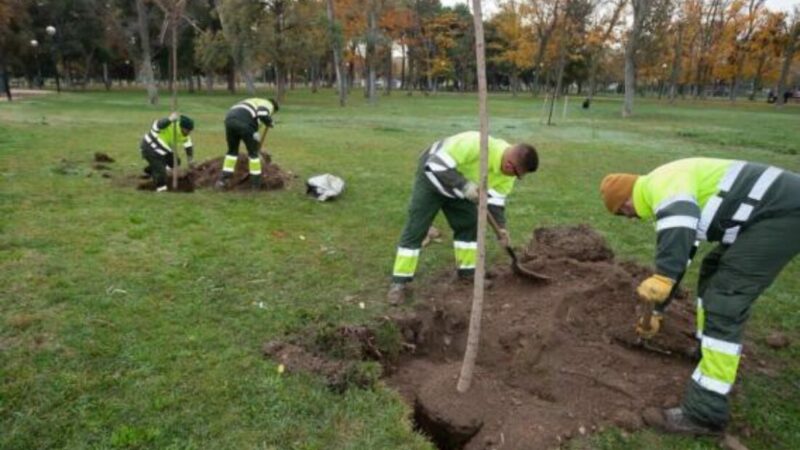 CGT GANA LAS ELECCIONES PARCIALES EN URBASER PARQUES Y JARDINES Y CONSIGUE LA MAYORIA ABSOLUTA