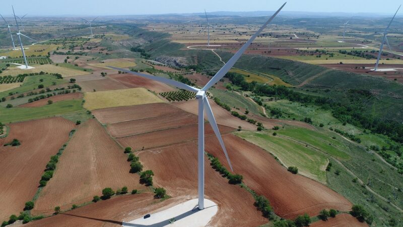 CGT obtiene la primera representación sindical en el grupo Forestalia