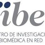 CGT obtiene representación en el Consorcio Ciber