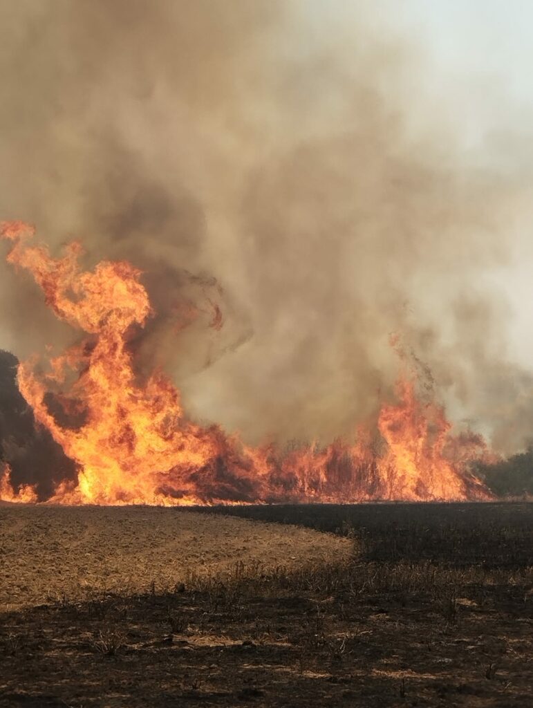 Hoy el Comité Intercentros se ha reunido con la empresa para buscar soluciones a los graves problemas que sufrimos los bomberos y bomberas forestales.