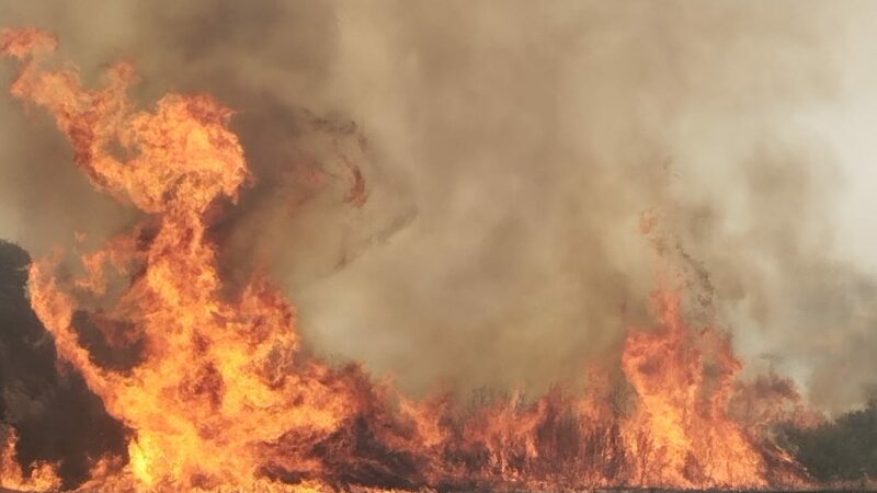 Hoy el Comité Intercentros se ha reunido con la empresa para buscar soluciones a los graves problemas que sufrimos los bomberos y bomberas forestales.